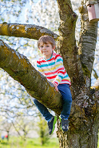 幼稚的学龄前小男孩喜欢爬树孩子学会爬山在阳光明媚的温暖图片