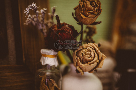 三朵干玫瑰和瓶子的古老风格图片