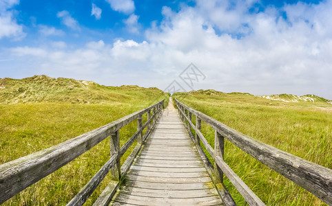 在典型的欧洲诺特海丘风景中古老的木制道通往阳图片