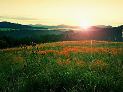 日出景观清晨草甸图片