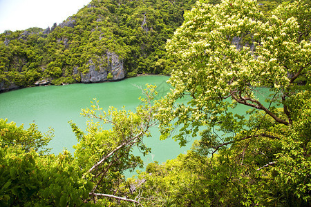 一个绿色泻湖和树的海岸线南海泰国khopha图片