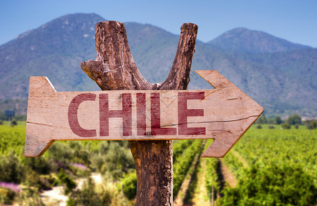 智利木牌酒厂背景图片