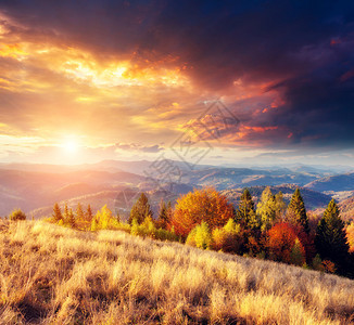 山谷自然公园红树和黄树叶喀尔巴阡山脉乌克兰欧洲等地景色多图片