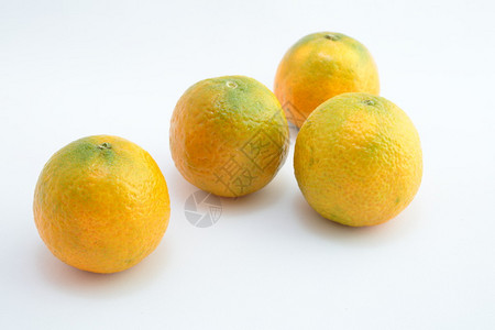 地中海的西班牙橘子图片