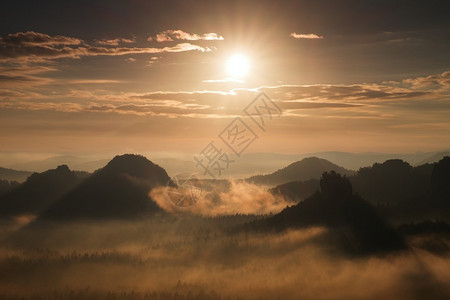 林中秋日的夕阳风景落下多彩的山谷满是浓密的薄雾与炎热的图片