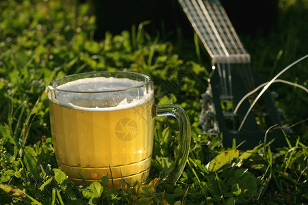 草地上的杯子里的啤酒图片