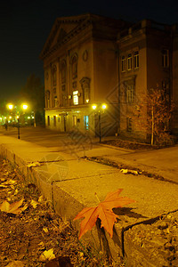 秋叶躺在城市人行道的夜晚图片