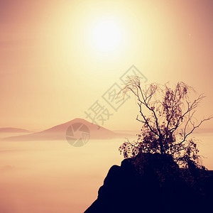 有树的岛在一座美丽的山满月之夜砂岩山峰和小山从有雾的背景中增加图片