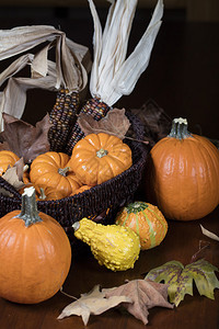 橘子南瓜小果酱和印度玉米作为感恩节装饰背景图片