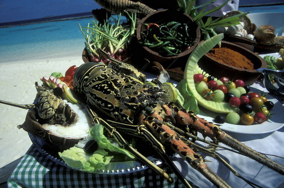海产食品和在印度洋马尔代夫群岛上的马尔代夫海图片