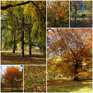 Cracow的秋天图片