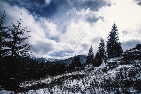 山上冬雪中的新郎娘图片