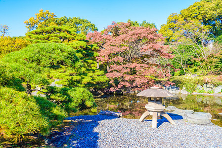 日本皇宫公园的花园图片