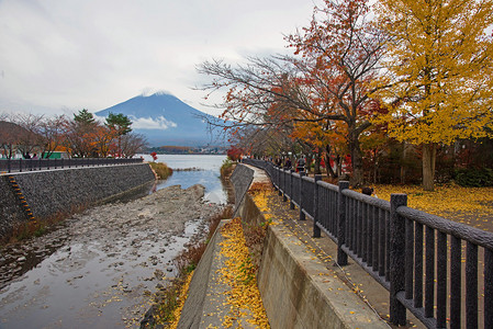 富士河口湖图片