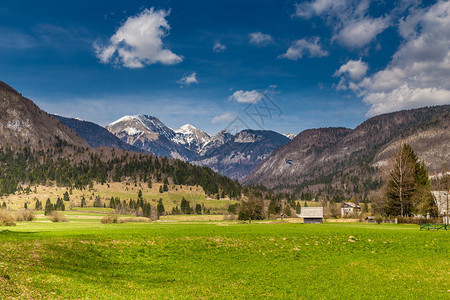 Bohinj湖附近的农村景观图片