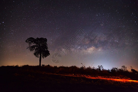 树木和银河的轮光长接触照片图片