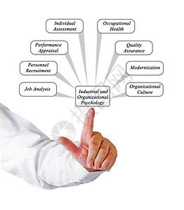 工业与组织心理学图片