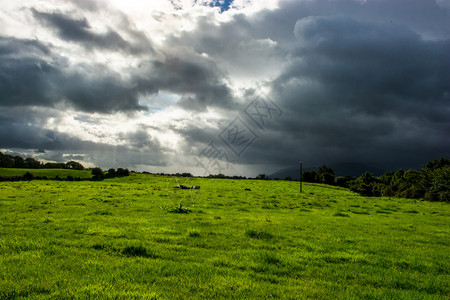 爱尔兰的牧场和厚云图片