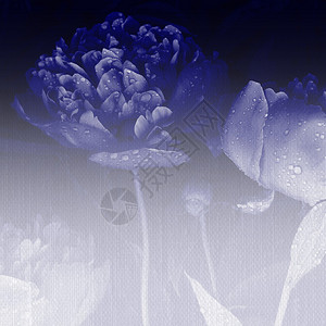 背景与蓝色花与帆布纹理背景图片