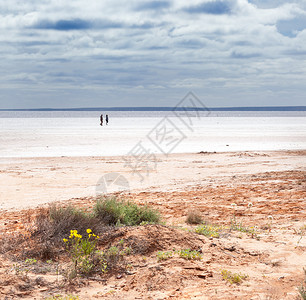 哈特湖是一个盐湖在南澳大利亚州非常漂亮但条图片