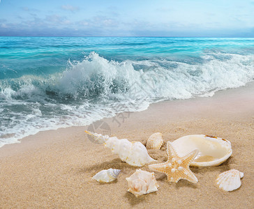 热带海滩和飞溅的海浪图片