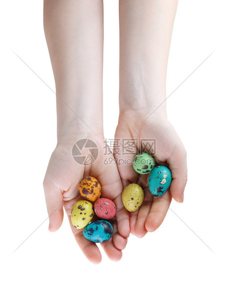 手中的彩色复活节彩蛋鹌鹑蛋与白色背景上的剪切路径图片