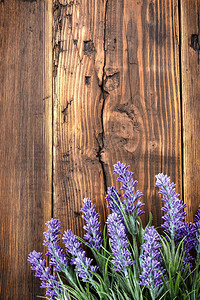 复古木制背景上的薰衣草花图片