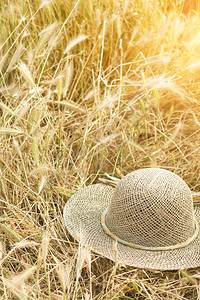 小麦田,带草帽美丽的阳图片
