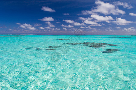 浅珊瑚礁发现的Aitutaki泻湖华丽的绿松石色透明水南太平洋库克群岛艾图塔基环礁未图片