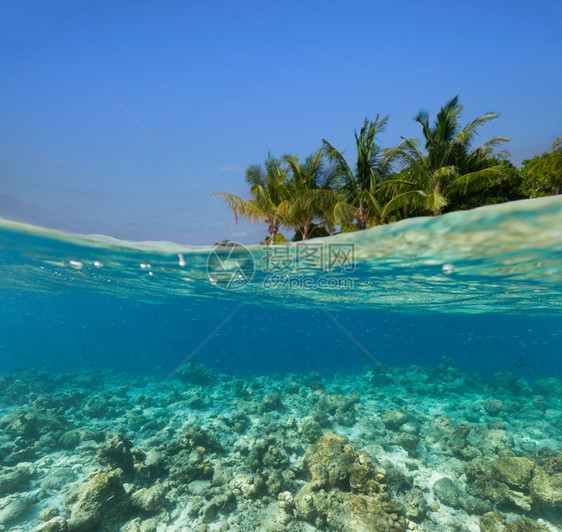 水下珊瑚礁海床和水面与热带岛屿图片