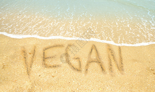 在热带沙滩上的沙中写着素食者度假图片