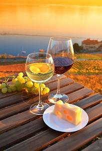 瑞士拉沃葡萄园的葡萄酒图片