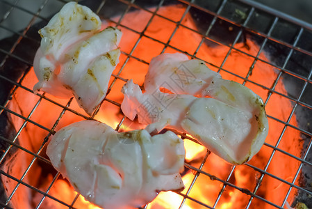 饺子汤圆烤虾和鱿鱼在烤架上背景