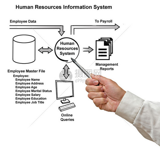 人力资源信息系统图片
