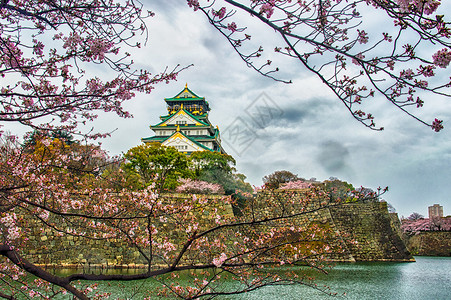 日本的大阪城堡被美丽图片
