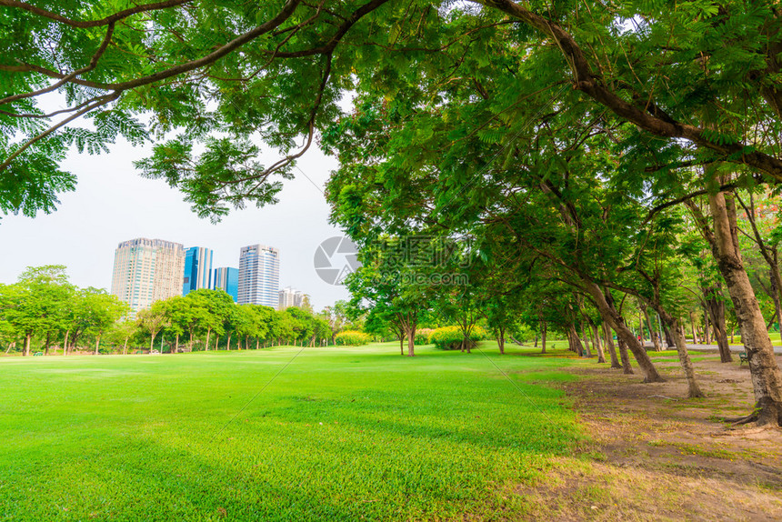 绿军主场发威凯尔特人多点开花 末节逆转取胜引爆北岸花园球馆