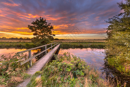 河上的木制步行桥景观图片