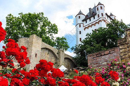 德国里温埃尔特维尔城堡花园的红图片