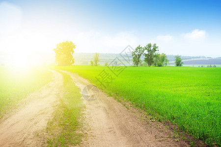 夏季风景乡村道路穿过绿图片