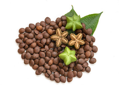 蔓花生植物图片 蔓花生植物素材 蔓花生植物高清图片 摄图网图片下载 第5页