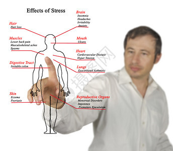 压力影响的介绍图片