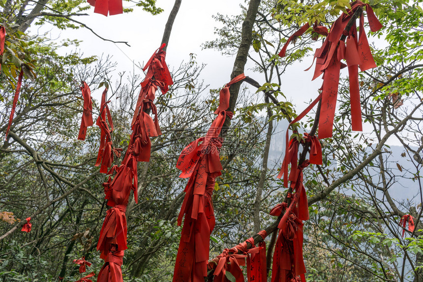 红丝带挂在山的树枝上沿潮人山道图片