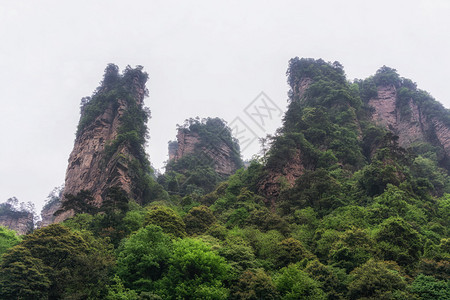 袁家界公园风景秀丽著名的高大怪诞岩石成为阿凡达的灵感来源图片