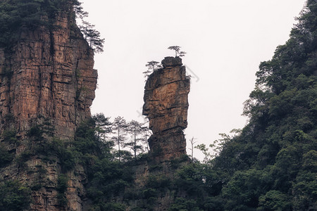 杨家界风景名胜区张家界山水景观图片