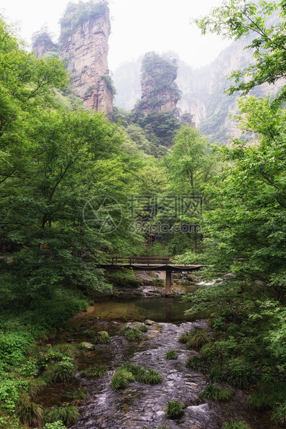 在的Yangjiajie风景区图片