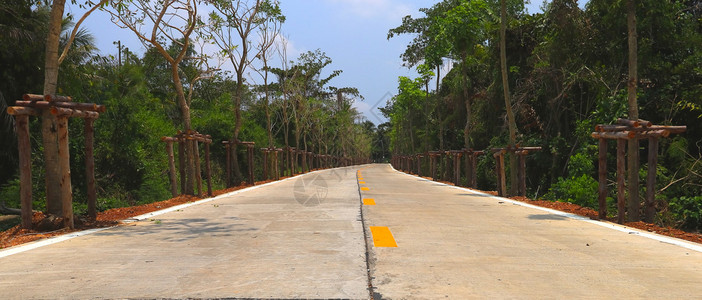 道路指示标带有树木的夏月背景