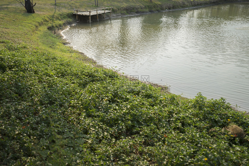 公园池塘水边码头图片