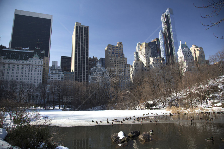 纽约尼克斯比分预测 结合历史交锋数据展望胜负走势