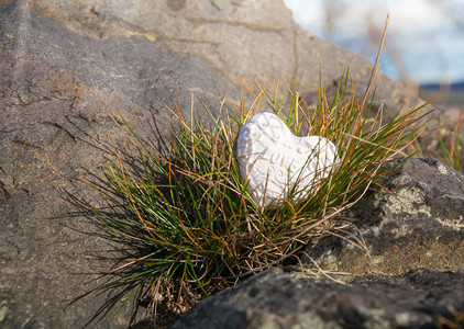 大自然岩石上的白心图片