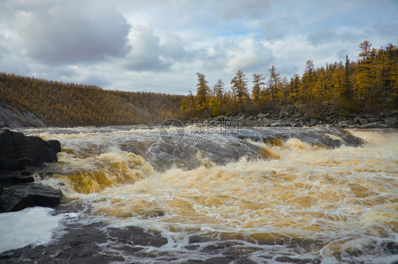 秋天的莫伊罗河和西伯利亚泰加河图片